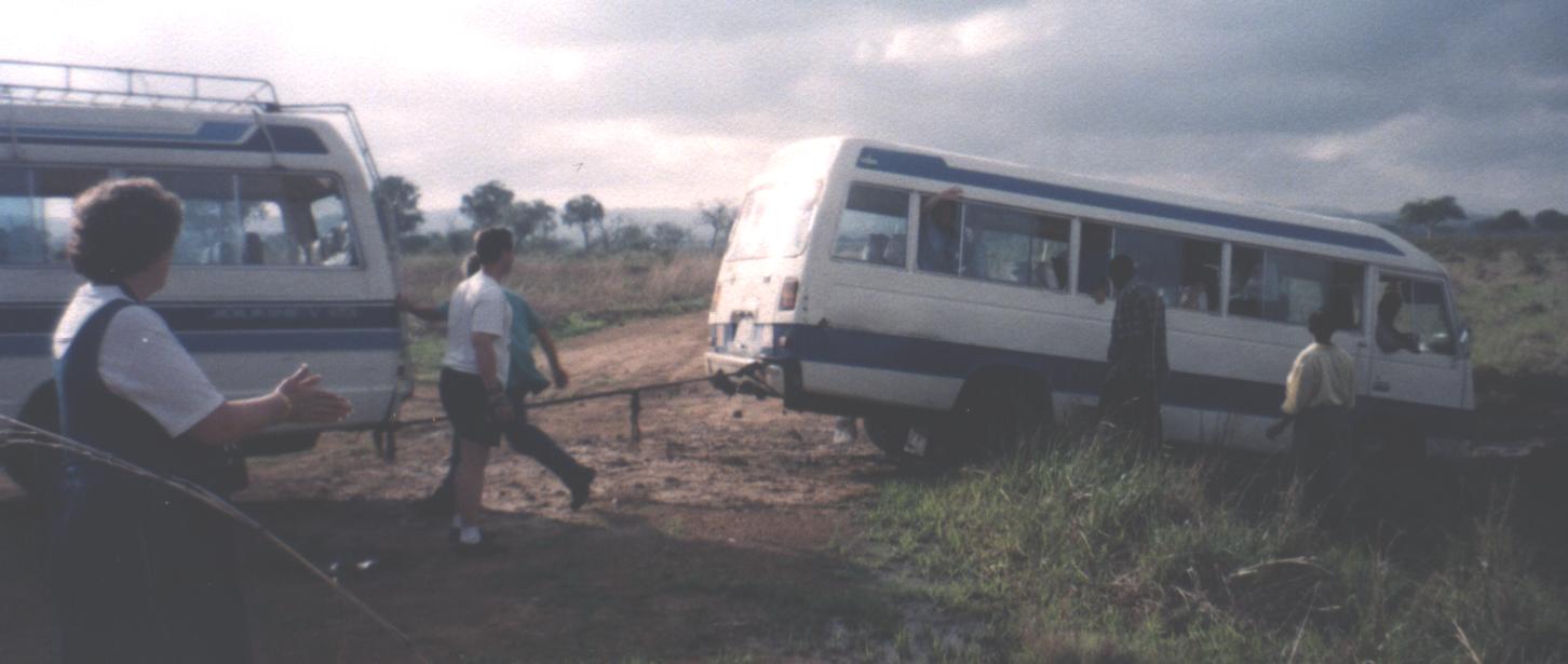 One of our buses got stuck in a ditch during our safari.