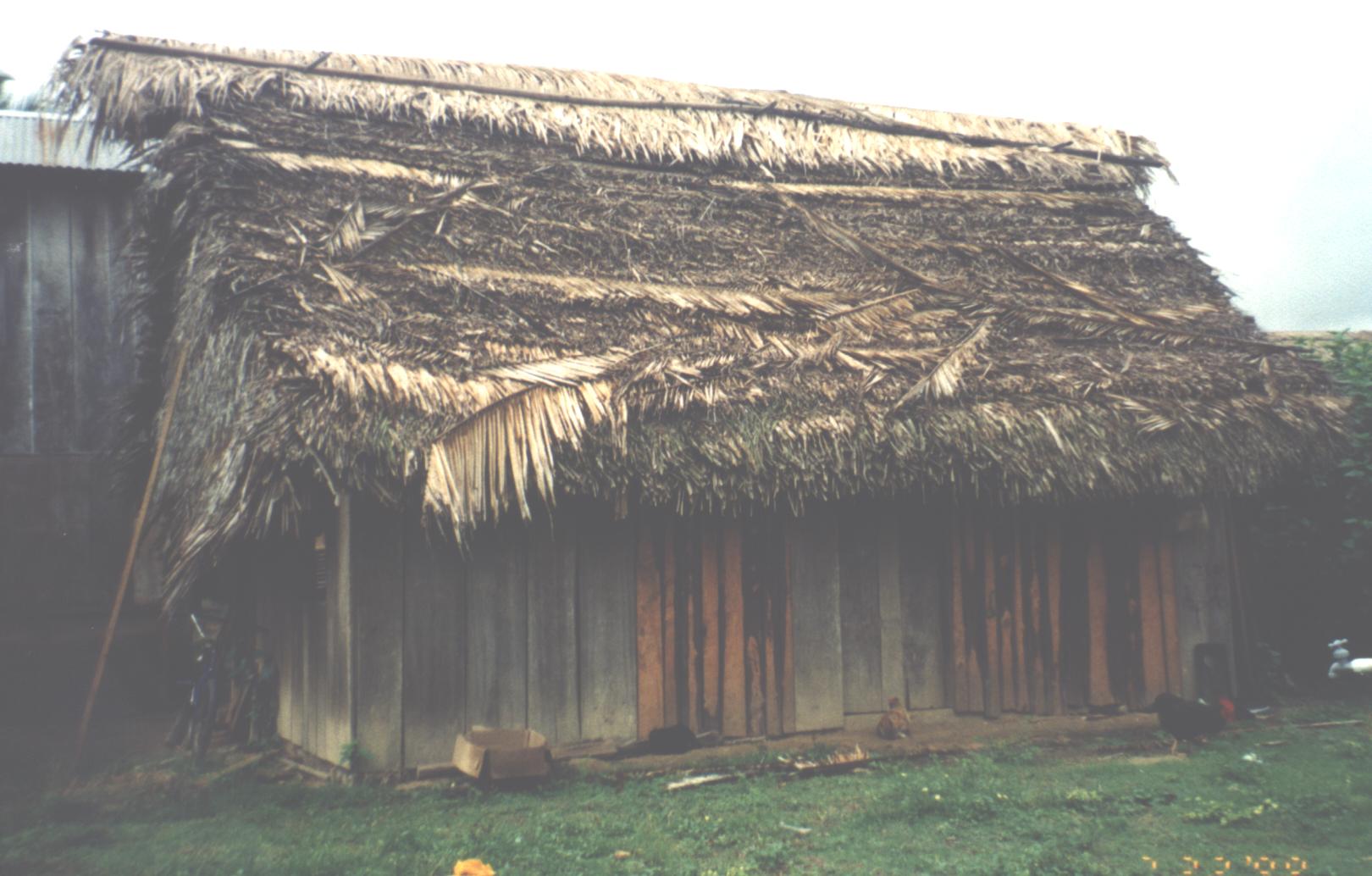 Typical home in Red Bank Indian Village in Belize.